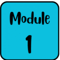 Module1