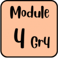 Module4 g4